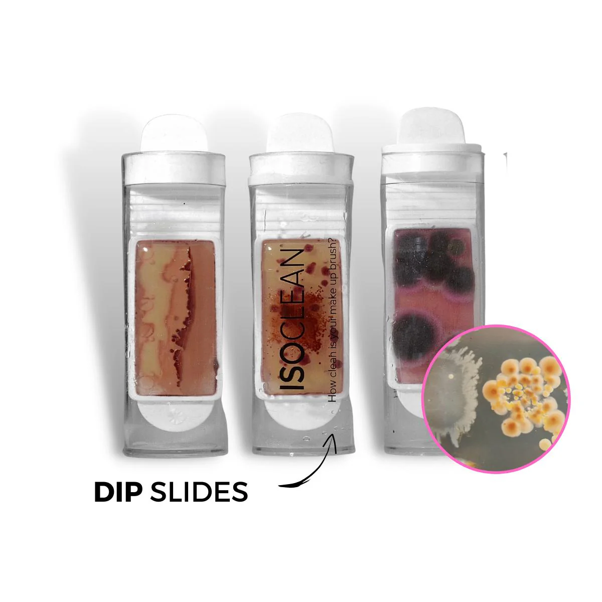 Makeup Brush Hygiene Test Tube Dip Slide Test - Bacteria Testing Kit - Image 2
